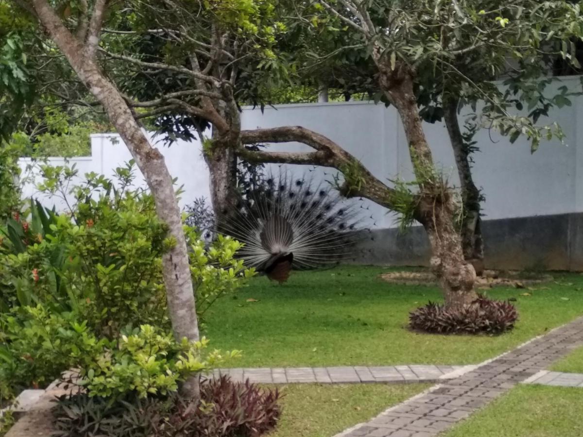 Villa Green White Unawatuna Eksteriør bilde